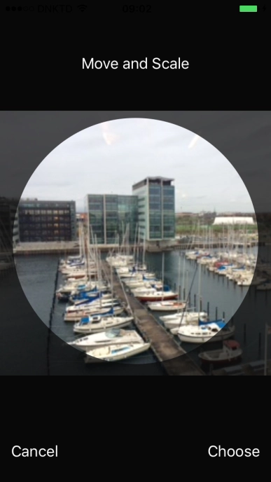 Drag the frame to the required position to select the required detail and press Choose.