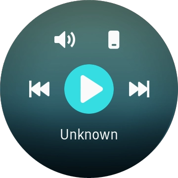 Press the storage device icon to select audio file playback from your smartwatch or your phone.