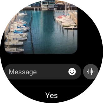 Press the record message icon and follow the instructions on the screen to record and send the required reply.