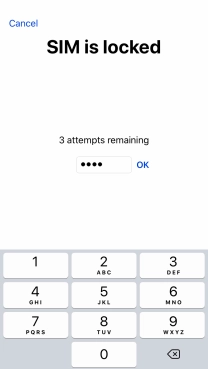 If your SIM is locked, key in your PIN and press OK.