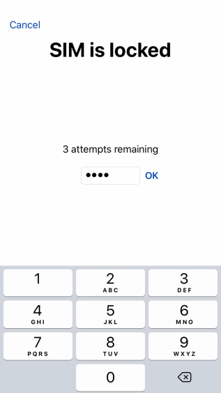 If your SIM is locked, key in your PIN and press OK.