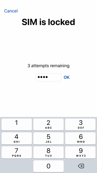 If your SIM is locked, key in your PIN and press OK.