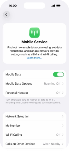 Press Mobile Data Options.