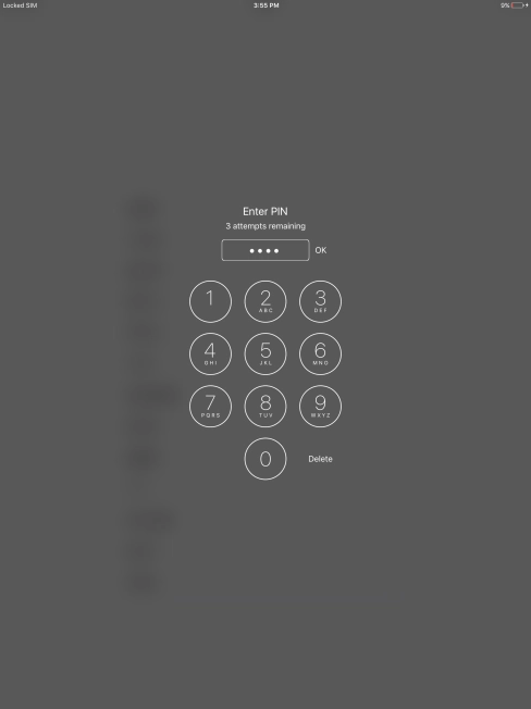Key in your PIN and press OK. Key in your PIN and press OK.