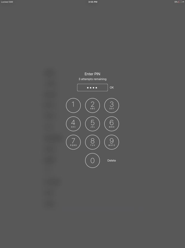 Key in your PIN and press OK. Key in your PIN and press OK.