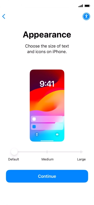Select the required text and icon size on your phone and press Continue.