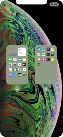 Press the fields below the required home screens to select or deselect them.