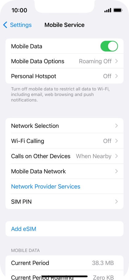Press Mobile Data Options.