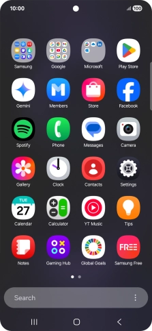 Press Gemini. If prompted, follow the instructions on the screen to turn on the function.
