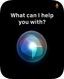 Say, in your own words, what you would like your Apple Watch to do.