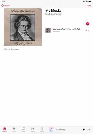 Go to the required category or playlist and press the required audio file.