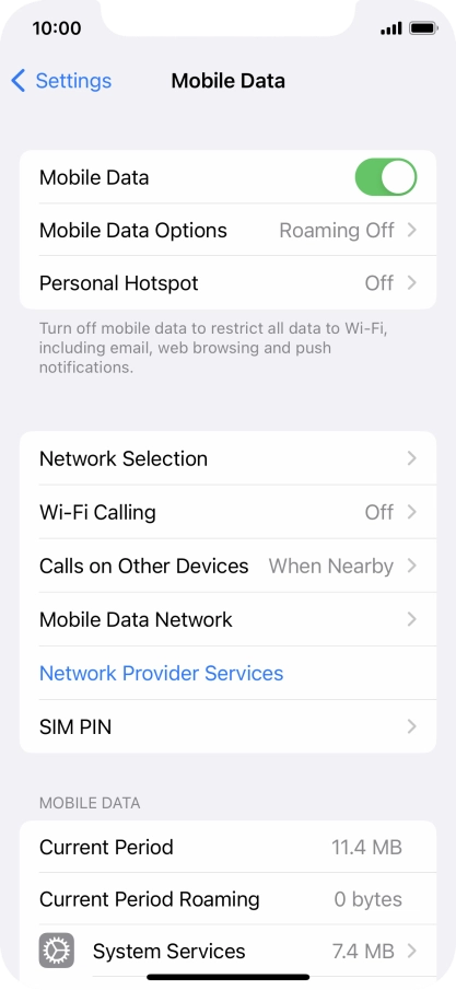 Press Mobile Data Options.