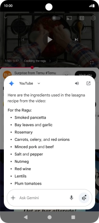 The answer from Gemini to your question is displayed.