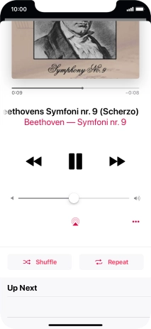 Press Shuffle to turn the function on or off.