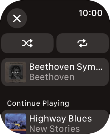 Press the shuffle icon to turn the function on or off.