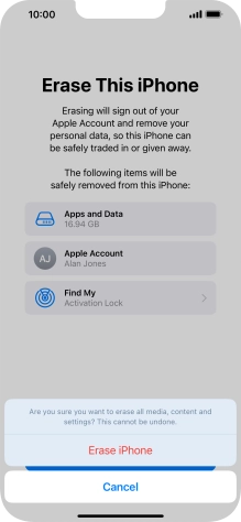 Press Erase iPhone.