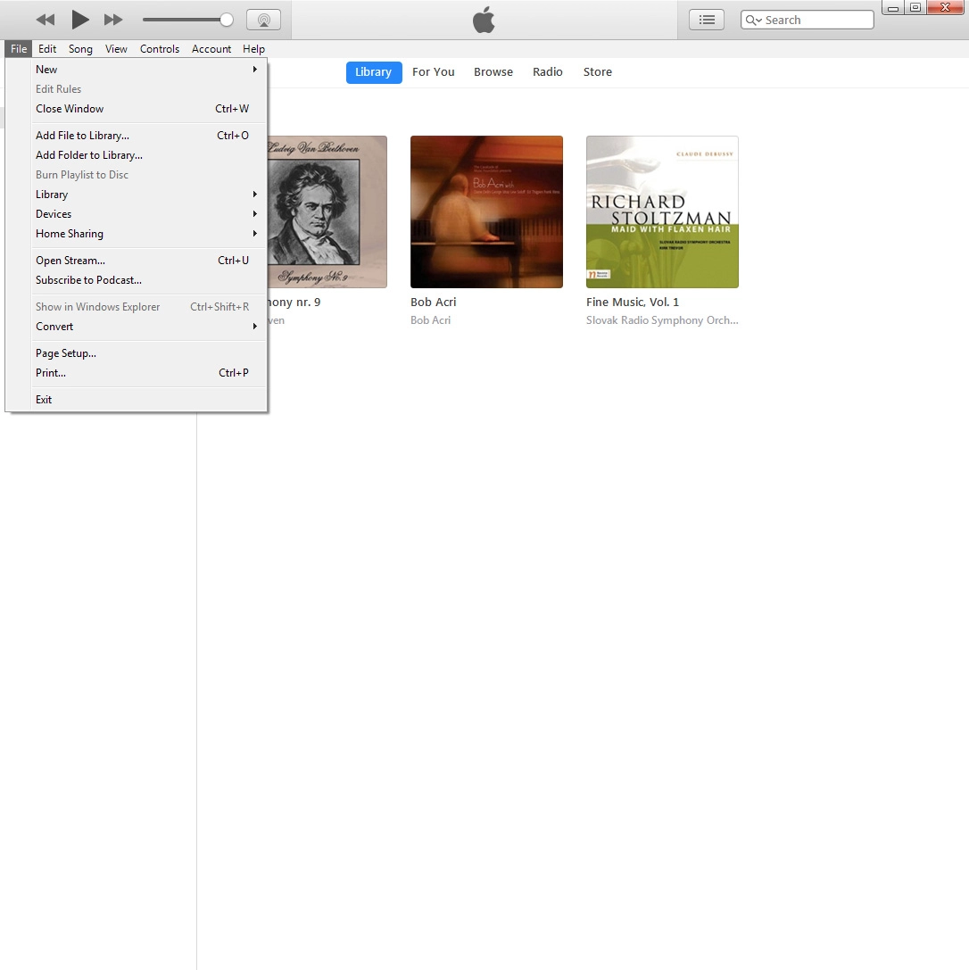 Click Add File to Library... to add one file at a time.