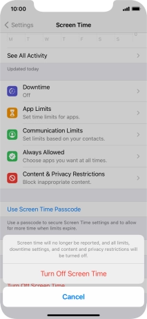 Press Turn Off Screen Time.