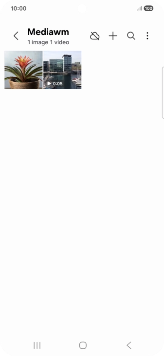 Press and hold any picture or video.