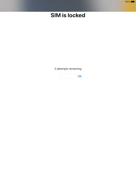 If your SIM is locked, key in your PIN and press OK.