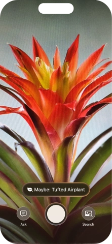 For information about animals and plants, press the information field.