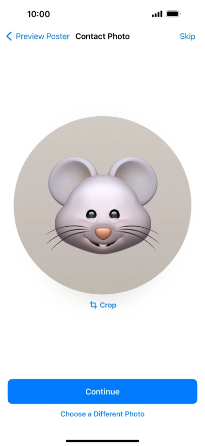 Follow the instructions on the screen to customise the selected picture and press Continue.