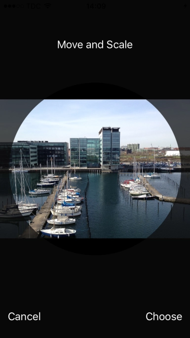 Drag the frame to the required position to select the required detail and press Choose.