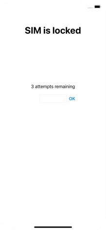 If your SIM is locked, key in your PIN and press OK.