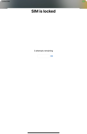 If your SIM is locked, key in your PIN and press OK.