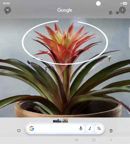 Draw a circle around the required object on the picture and wait for the search results.