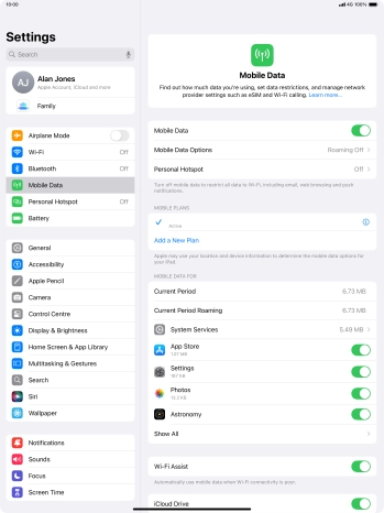 Press Mobile Data Options.