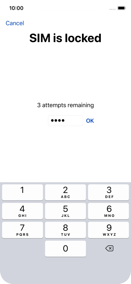 If your SIM is locked, key in your PIN and press OK.