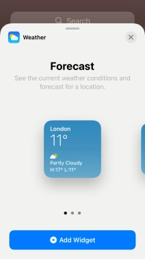 Slide your finger right or left on the screen to select the required widget size. Slide your finger right or left on the screen to select the required widget size.