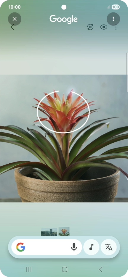 Draw a circle around the required object on the picture and wait for the search results.