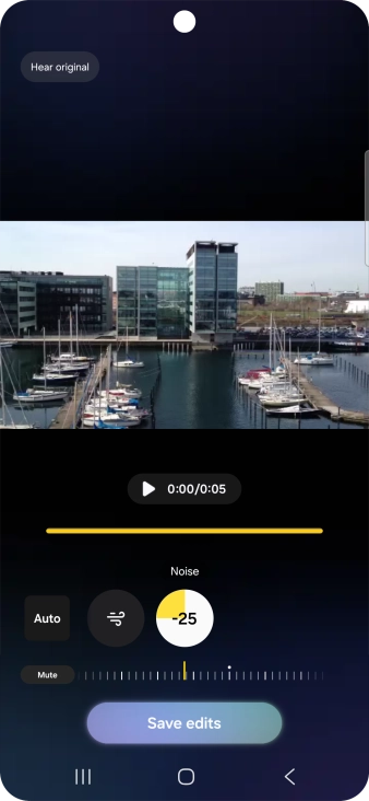 Press Mute to completely remove the selected audio type from the video.