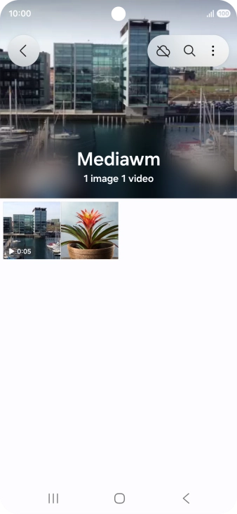 Press and hold any picture or video.