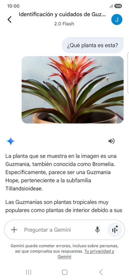 Sigue las indicaciones de la pantalla para escribir o decir en alto la pregunta deseada. Puedes adjuntar fotografías o documentos y hacer preguntas acerca de ellos.
