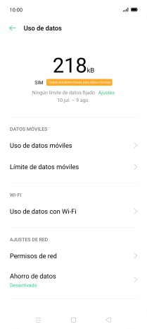 El consumo total de datos se visualiza ahora en la pantalla.