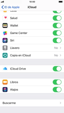 Pulsa Copia en iCloud.