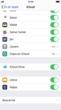 Pulsa Copia en iCloud.