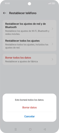 Pulsa Borrar datos.