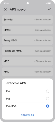 Pulsa IPv4.