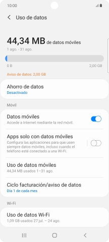 El consumo total de datos se visualiza ahora en la pantalla.