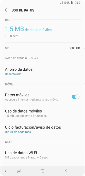 El consumo total de datos se visualiza ahora en la pantalla.