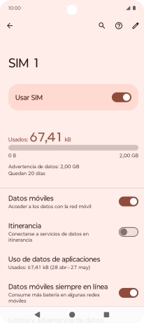 El consumo total de datos se visualiza ahora en la pantalla.