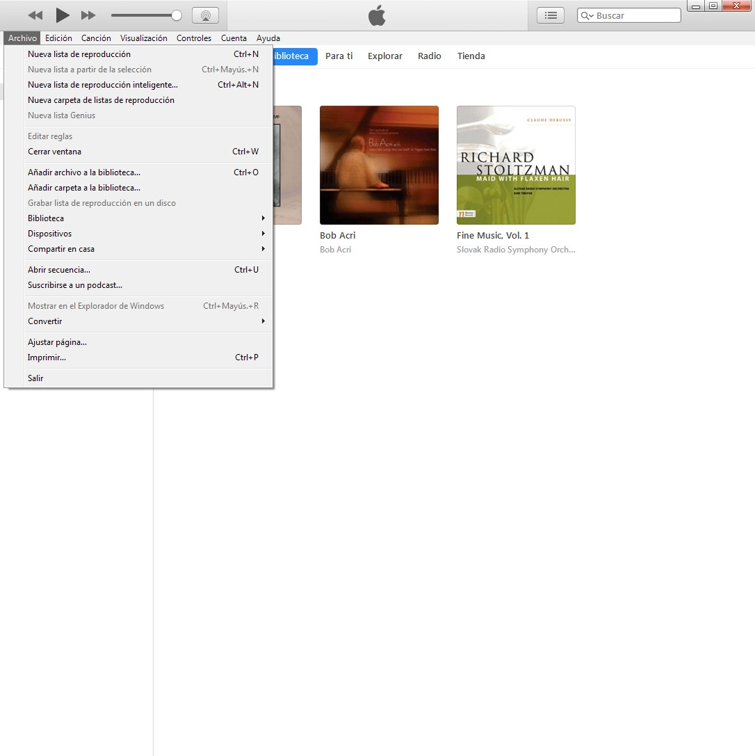 Haz clic en Añadir archivo a la biblioteca... para añadir los archivos de uno en uno.