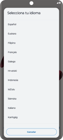 Pulsa el idioma deseado.