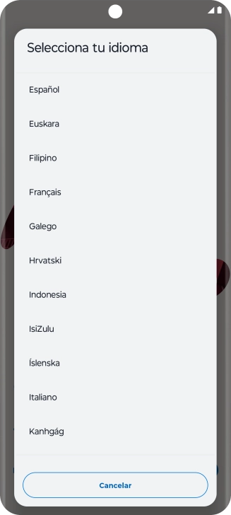 Pulsa el idioma deseado.