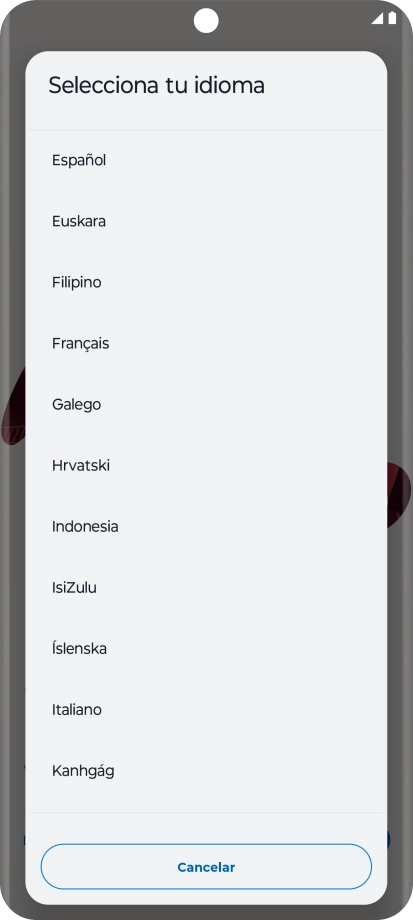 Pulsa el idioma deseado.