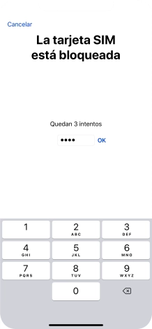 Si es necesario desbloquear la tarjeta SIM, introduce el código PIN y pulsa OK.